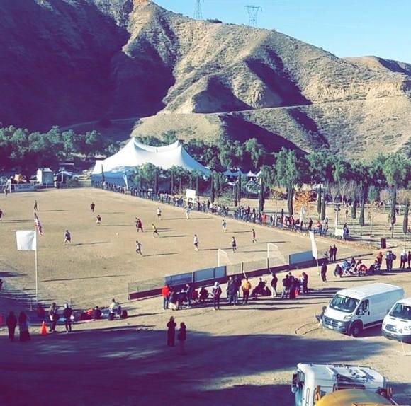 Meet your Posher, Japheth - Picture 1 of 1